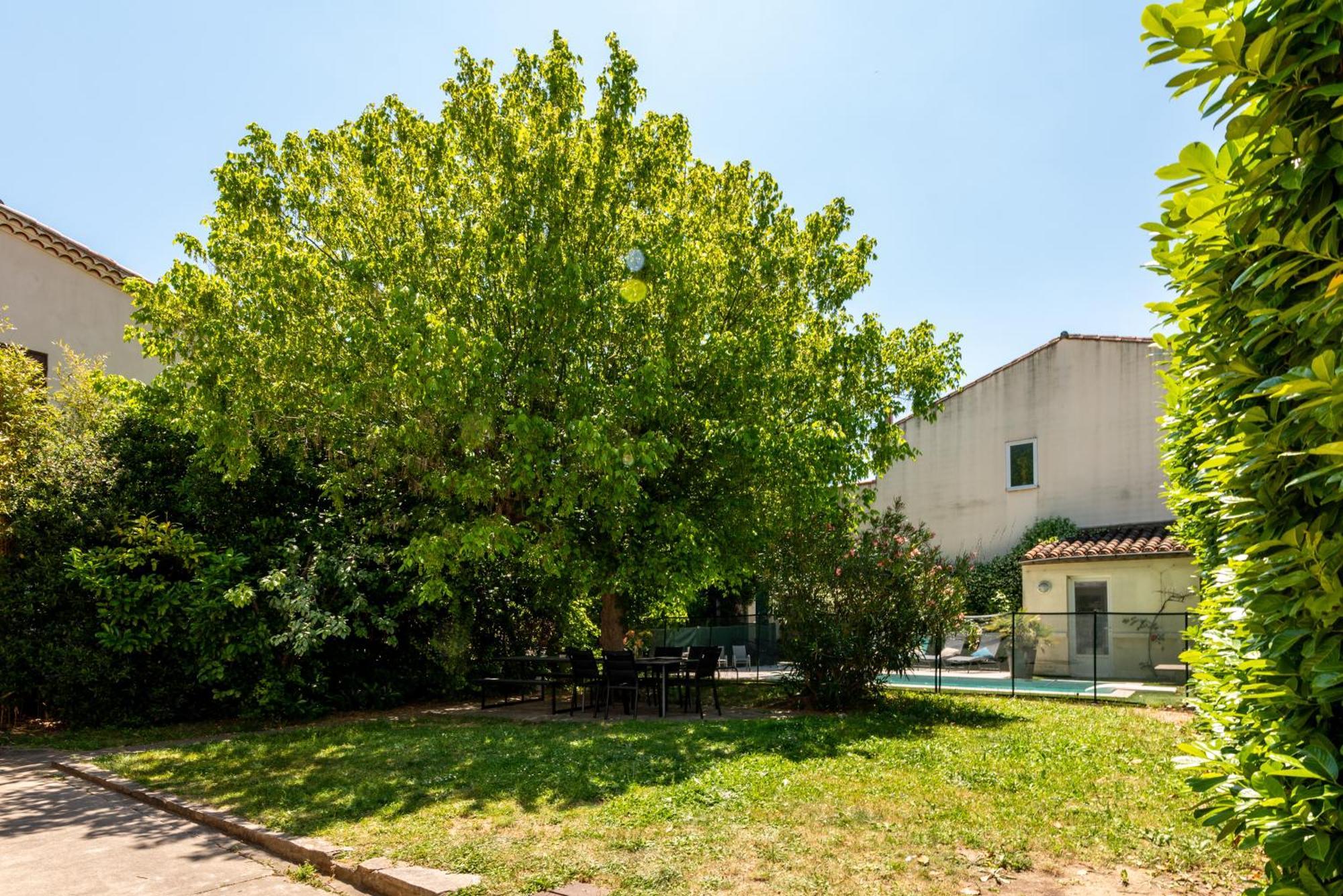 La Casa Grande - Piscine - Wifi - Parking Villa Carcassonne Exteriör bild